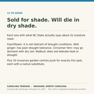 May include: A white informational graphic with dark green text titled 12 TO AVOID. It states Sold for shade. Will die in dry shade. It lists moisture needs for foamflower, wild ginger, cinnamon fern, and redbud, plus mentions 10 invasives.