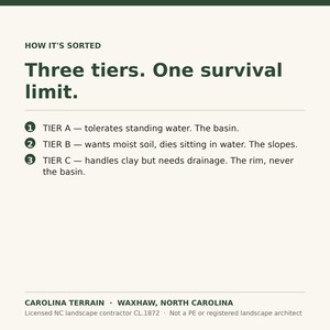 May include: An informational graphic titled HOW IT'S SORTED Three tiers. One survival limit. It lists three tiers: 1 TIER A - tolerates standing water. The basin. 2 TIER B - wants moist soil, dies sitting in water. The slopes. 3 TIER C - handles clay but needs drainage. The rim, never the basin. CAROLINA TERRAIN WAXHAW, NORTH CAROLINA Licensed NC landscape contractor CL.1872 Not a PE or registered landscape architect.