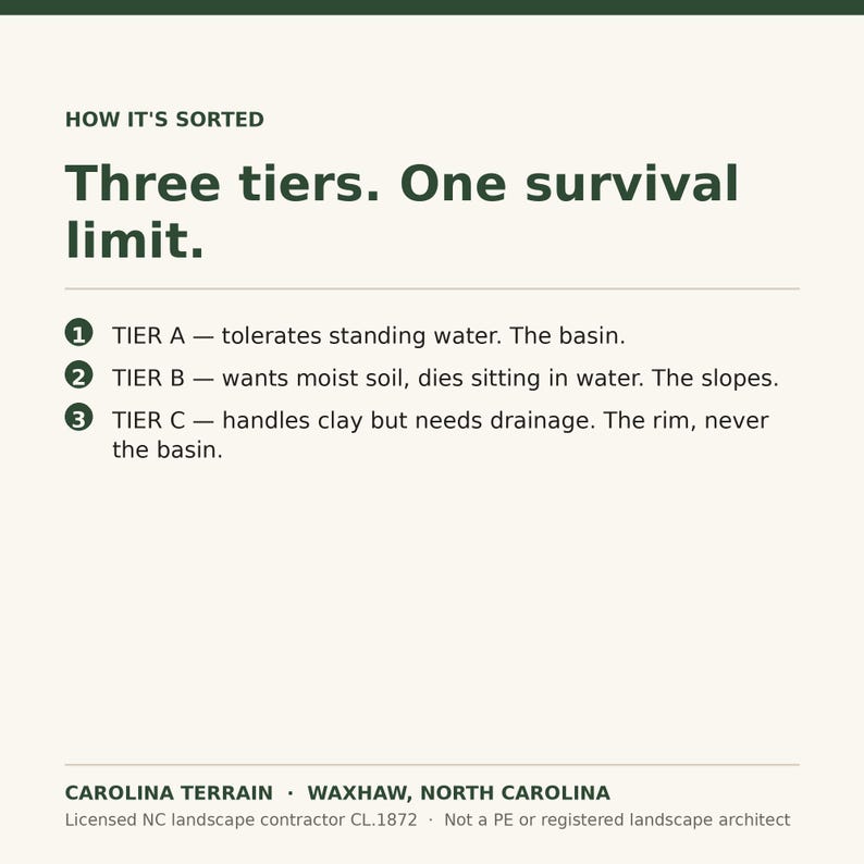 May include: An informational graphic titled HOW IT'S SORTED Three tiers. One survival limit. It lists three tiers: 1 TIER A - tolerates standing water. The basin. 2 TIER B - wants moist soil, dies sitting in water. The slopes. 3 TIER C - handles clay but needs drainage. The rim, never the basin. CAROLINA TERRAIN WAXHAW, NORTH CAROLINA Licensed NC landscape contractor CL.1872 Not a PE or registered landscape architect.