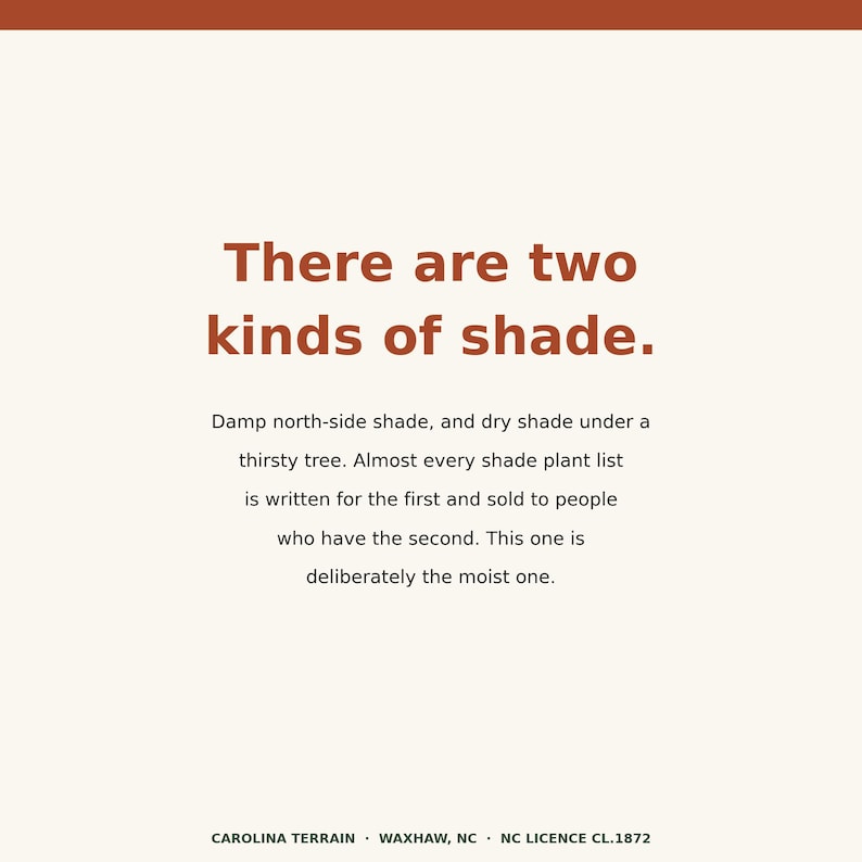 Op de afbeelding: Een vierkante afbeelding met een cr&egrave;mekleurige achtergrond en een roestkleurige rand aan de bovenkant. De tekst luidt: There are two kinds of shade. Damp north-side shade, and dry shade under a thirsty tree. Almost every shade plant list is written for the first and sold to people who have the second. This one is deliberately the moist one. Onderaan staat de tekst: CAROLINA TERRAIN &middot; WAXHAW, NC &middot; NC LICENCE CL.1872
