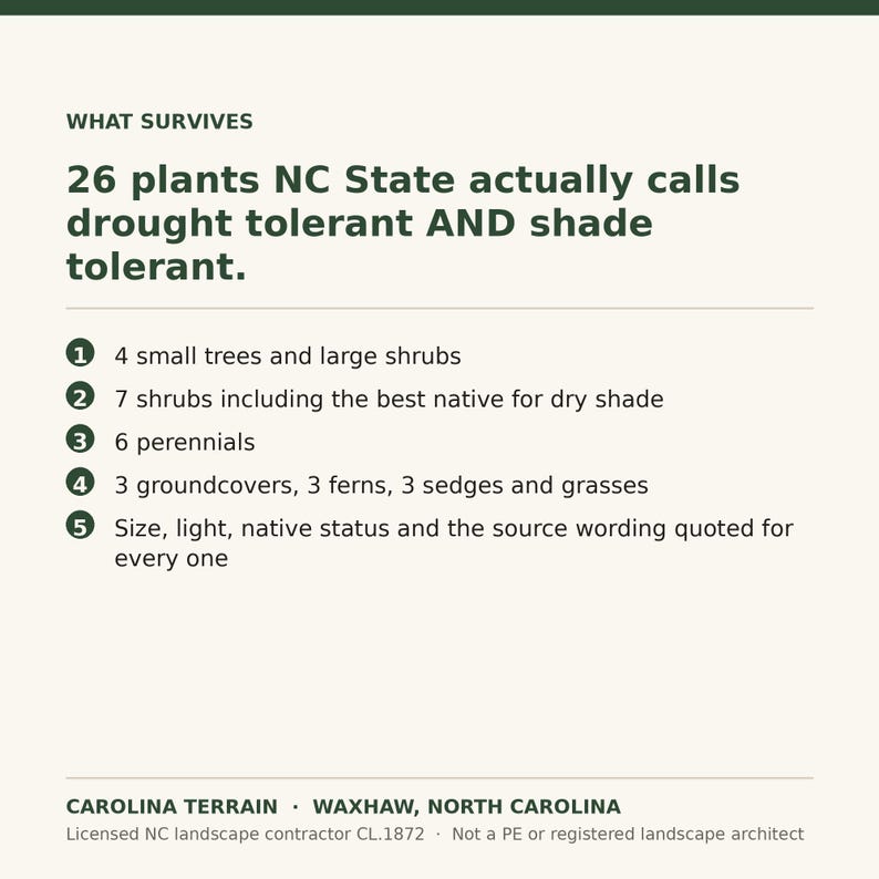 May include: An informational graphic titled WHAT SURVIVES, listing 26 plants NC State identifies as drought and shade tolerant. It includes five numbered points detailing categories like trees, shrubs, perennials, and groundcovers, plus source details.