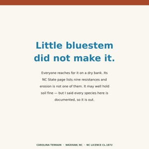 Może przedstawiać: Kwadratowa grafika z kremowym tłem i rdzawą g&oacute;rną krawędzią. Tekst brzmi: Little bluestem did not make it. Everyone reaches for it on a dry bank. Its NC State page lists nine resistances and erosion is not one of them.