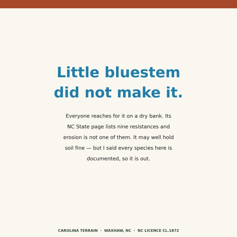 Może przedstawiać: Kwadratowa grafika z kremowym tłem i rdzawą g&oacute;rną krawędzią. Tekst brzmi: Little bluestem did not make it. Everyone reaches for it on a dry bank. Its NC State page lists nine resistances and erosion is not one of them.