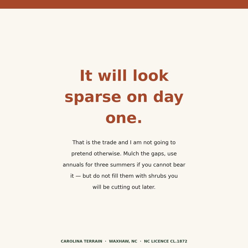 K&ouml;nnte beinhalten: Eine quadratische Grafik mit cremefarbenem Hintergrund und einem rostfarbenen oberen Rand. Der Text lautet: It will look sparse on day one. That is the trade and I am not going to pretend otherwise. Mulch the gaps, use annuals for three summers if you cannot bear it &mdash; but do not fill them with shrubs you will be cutting out later. CAROLINA TERRAIN &middot; WAXHAW, NC &middot; NC LICENCE CL.1872