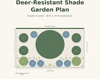 Deer-Resistant Shade Garden Plan, 28ft x 16ft, Zones 7b-8a (PDF Download)