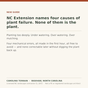 May include: A white informational graphic with dark green text titled NEW GUIDE. It states: NC Extension names four causes of plant failure. None of them is the plant. It lists planting too deeply, under watering, over watering, and over mulching.