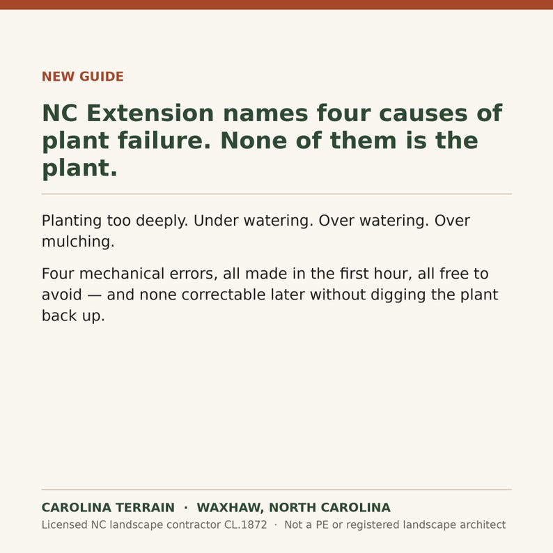 May include: A white informational graphic with dark green text titled NEW GUIDE. It states: NC Extension names four causes of plant failure. None of them is the plant. It lists planting too deeply, under watering, over watering, and over mulching.