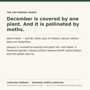May include: A white informational card with dark green text. The header reads THE GAP NOBODY PRINTS. The body text discusses plant pollination in December and January, mentioning witch hazel and red maple. The footer displays CAROLINA TERRAIN.