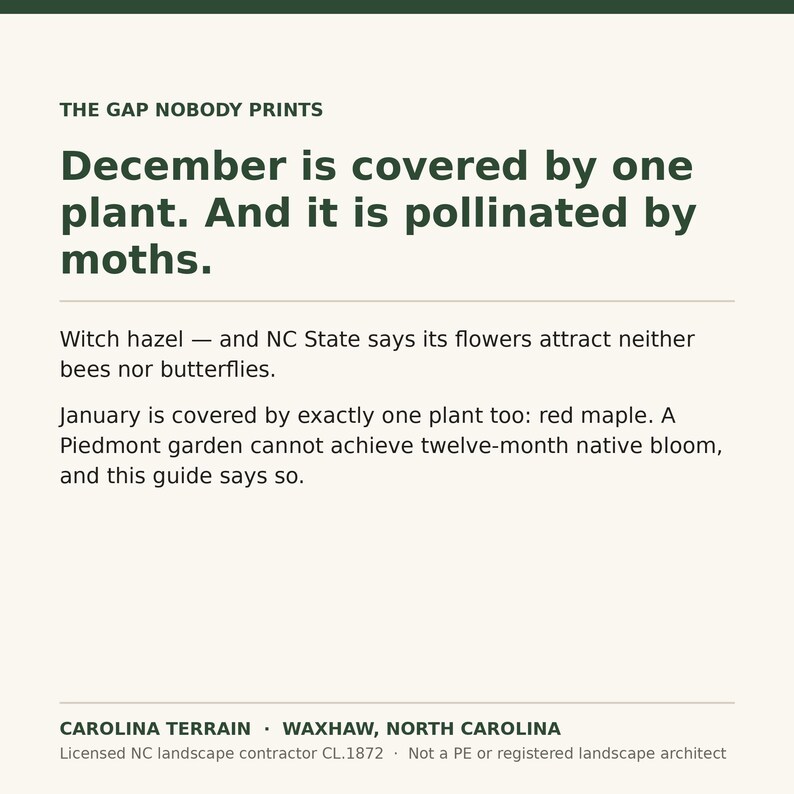 May include: A white informational card with dark green text. The header reads THE GAP NOBODY PRINTS. The body text discusses plant pollination in December and January, mentioning witch hazel and red maple. The footer displays CAROLINA TERRAIN.