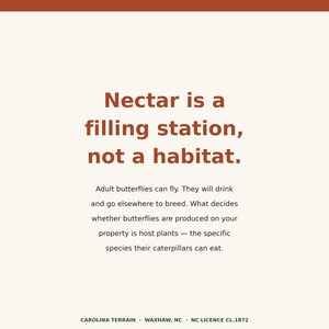 May include: A square sign with a cream background and dark orange text. The text reads: Nectar is a filling station, not a habitat. Adult butterflies can fly. They will drink and go elsewhere to breed. What decides whether butterflies are produced on your property is host plants &mdash; the specific species their caterpillars can eat. CAROLINA TERRAIN &middot; WAXHAW, NC &middot; NC LICENCE CL.1872