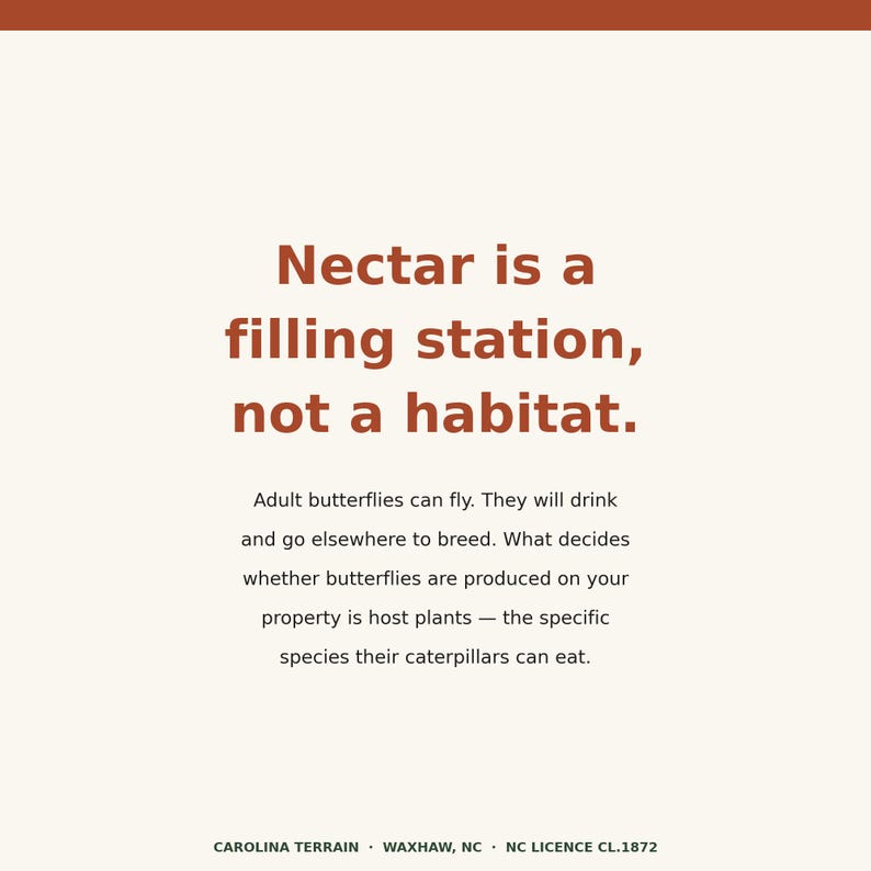 May include: A square sign with a cream background and dark orange text. The text reads: Nectar is a filling station, not a habitat. Adult butterflies can fly. They will drink and go elsewhere to breed. What decides whether butterflies are produced on your property is host plants &mdash; the specific species their caterpillars can eat. CAROLINA TERRAIN &middot; WAXHAW, NC &middot; NC LICENCE CL.1872