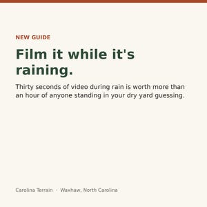 May include: A digital graphic with a cream background and dark green text that reads: NEW GUIDE. Film it while it's raining. Thirty seconds of video during rain is worth more than an hour of anyone standing in your dry yard guessing. Carolina Terrain, Waxhaw, North Carolina.