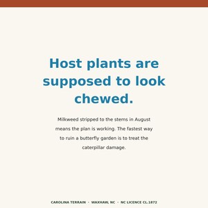 May include: A rectangular sign with a cream background and a dark orange top border. The text reads: Host plants are supposed to look chewed. Milkweed stripped to the stems in August means the plan is working. The fastest way to ruin a butterfly garden is to treat the caterpillar damage. CAROLINA TERRAIN &middot; WAXHAW, NC &middot; NC LICENCE CL.1872.