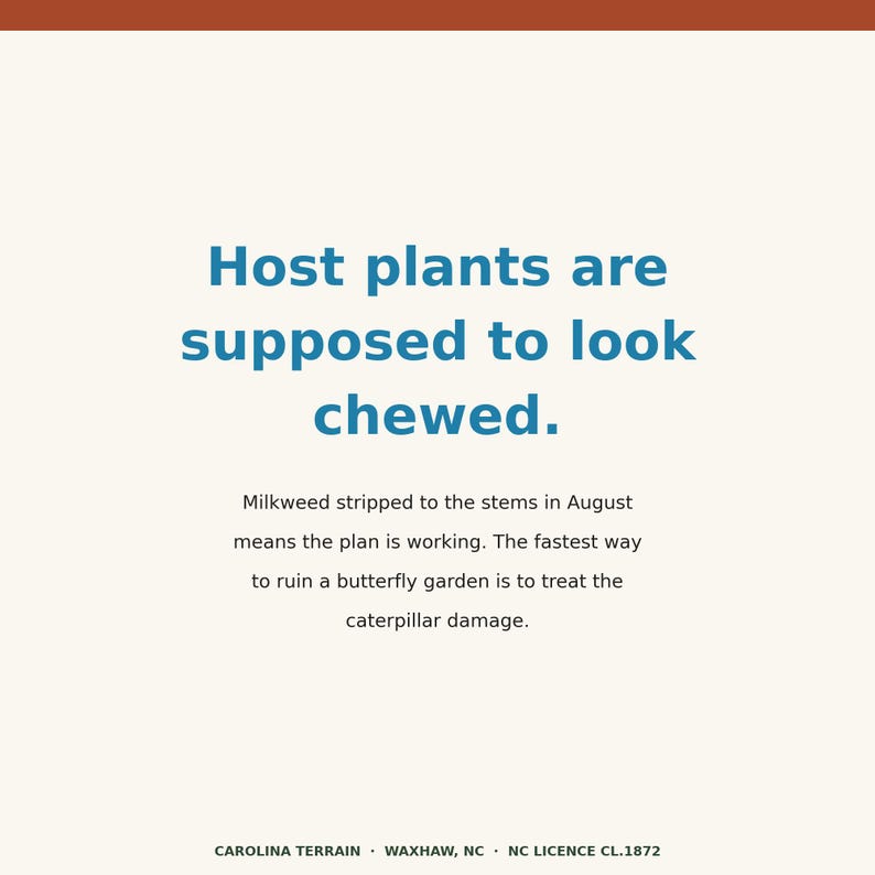 May include: A rectangular sign with a cream background and a dark orange top border. The text reads: Host plants are supposed to look chewed. Milkweed stripped to the stems in August means the plan is working. The fastest way to ruin a butterfly garden is to treat the caterpillar damage. CAROLINA TERRAIN &middot; WAXHAW, NC &middot; NC LICENCE CL.1872.
