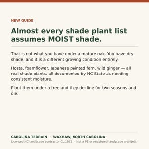 May include: A white informational graphic with dark green and rust-coloured text titled NEW GUIDE. It explains that shade plant lists often assume moist conditions, whereas mature oak trees create dry shade, causing plants like Hosta to decline.
