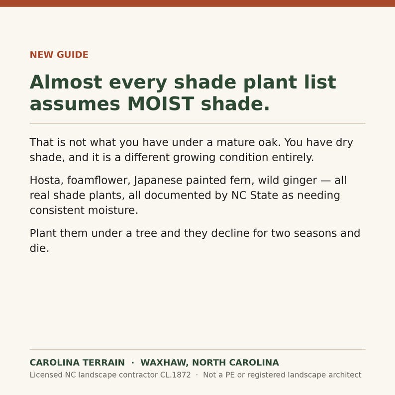 May include: A white informational graphic with dark green and rust-coloured text titled NEW GUIDE. It explains that shade plant lists often assume moist conditions, whereas mature oak trees create dry shade, causing plants like Hosta to decline.