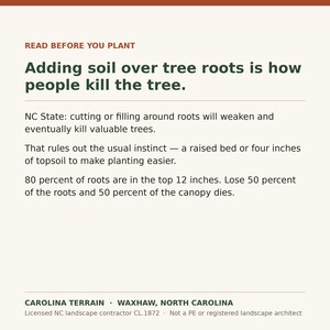 May include: An informational sign with a cream background and dark text that reads: READ BEFORE YOU PLANT. Adding soil over tree roots is how people kill the tree. NC State: cutting or filling around roots will weaken and eventually kill valuable trees. That rules out the usual instinct &mdash; a raised bed or 10 cm of topsoil to make planting easier. 80 percent of roots are in the top 30 cm. Lose 50 percent of the roots and 50 percent of the canopy dies. CAROLINA TERRAIN.