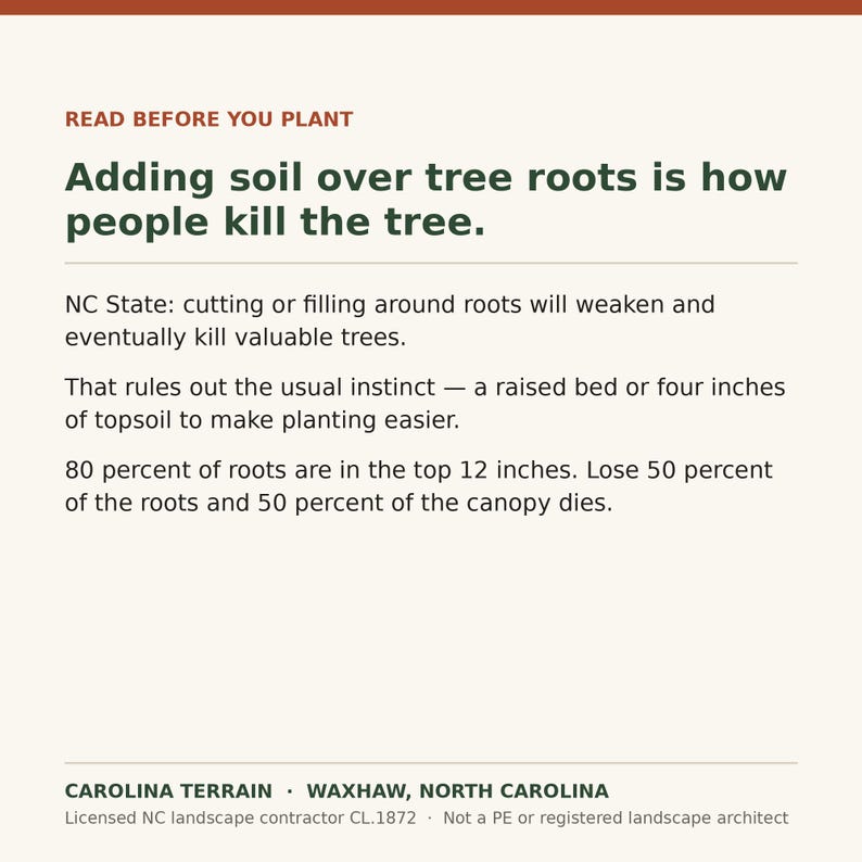May include: An informational sign with a cream background and dark text that reads: READ BEFORE YOU PLANT. Adding soil over tree roots is how people kill the tree. NC State: cutting or filling around roots will weaken and eventually kill valuable trees. That rules out the usual instinct &mdash; a raised bed or 10 cm of topsoil to make planting easier. 80 percent of roots are in the top 30 cm. Lose 50 percent of the roots and 50 percent of the canopy dies. CAROLINA TERRAIN.