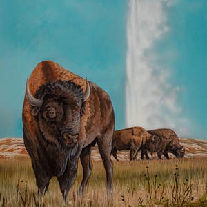 Bisonte a Yellowstone – Stampa artistica di fauna selvatica / Dipinto acrilico di Alli Wade