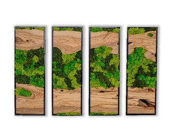 Olive Wood & Moss Wall Art – Handmade Framed Panel