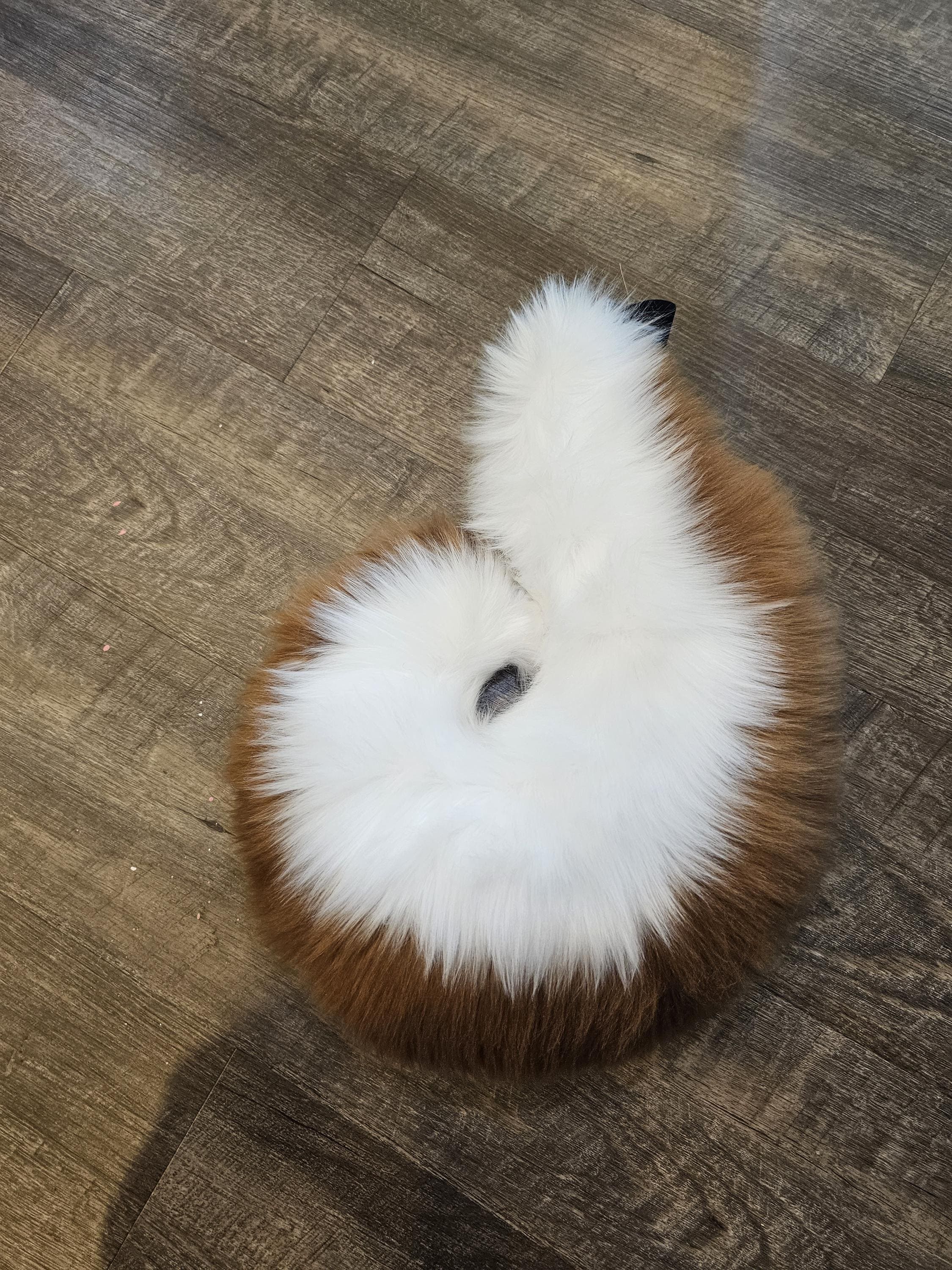 Curled brown and white fursuit tail