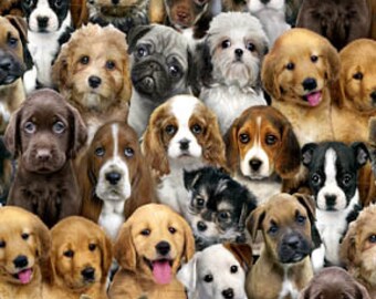 Puppies in the Garden Al-3167-6 Dog cotton fabric by the yard dog fabric puppy fabric
