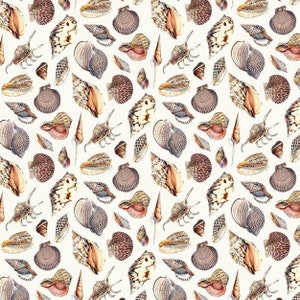 Seashell Fabric - Timeless Treasures Beach Dreams Coastal Seashells # C1780-CREAM Cotton Fabric ~ Choose your Cut