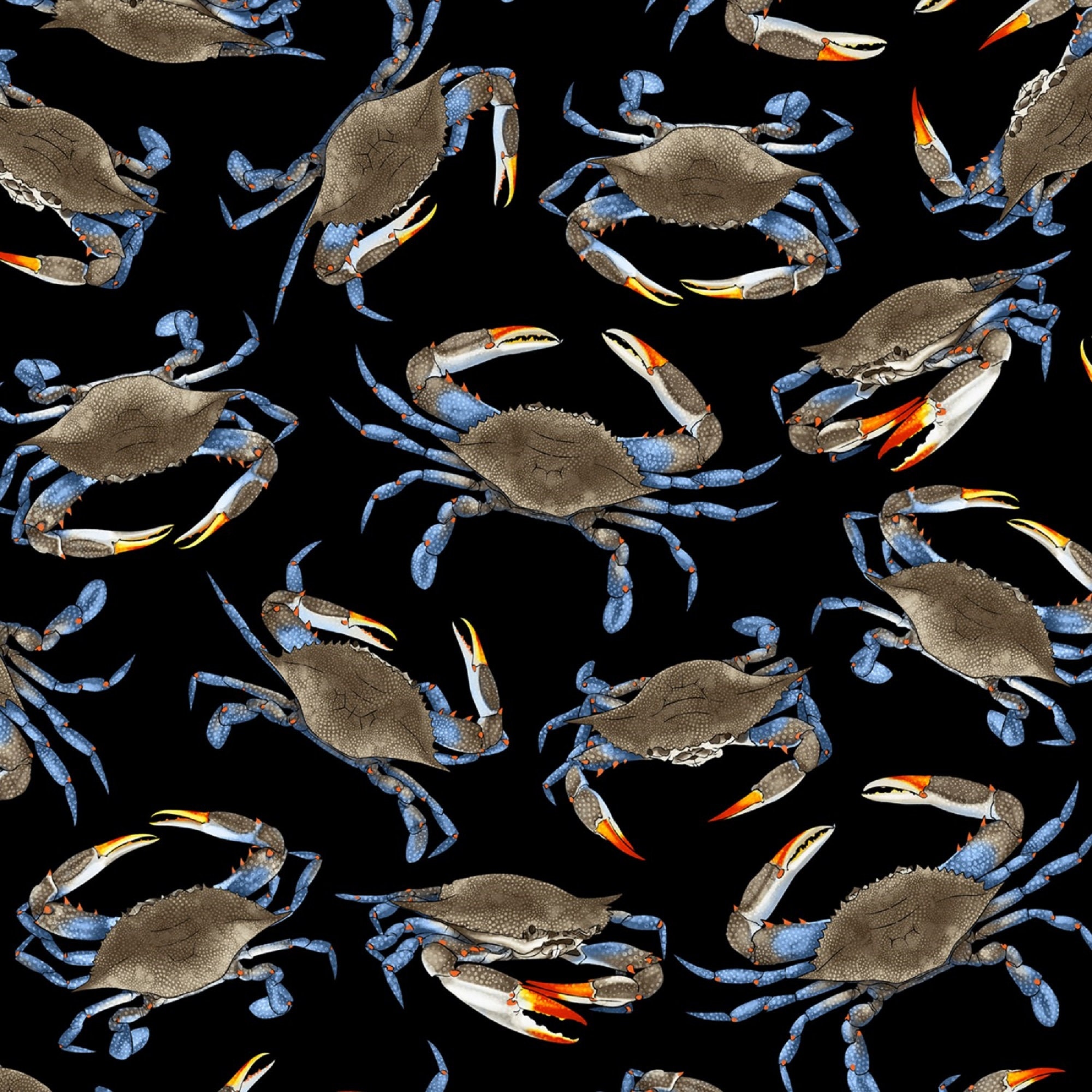 Blue Crabs Cotton Fabric C7419BLACK Crab Timeless Treasures Etsy