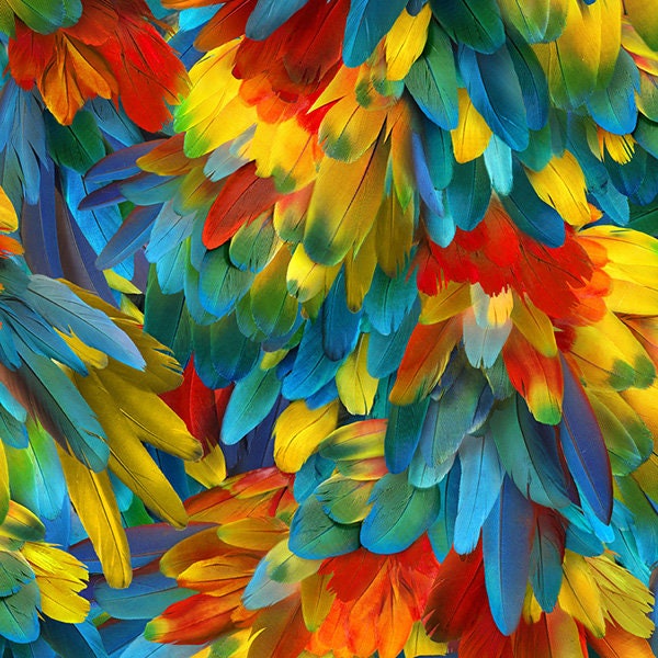 Hoffman Call of the Wild Parrot Feathers - R4688-304  - Cotton Fabric ~ Choose your Cut - Quilting -Sewing