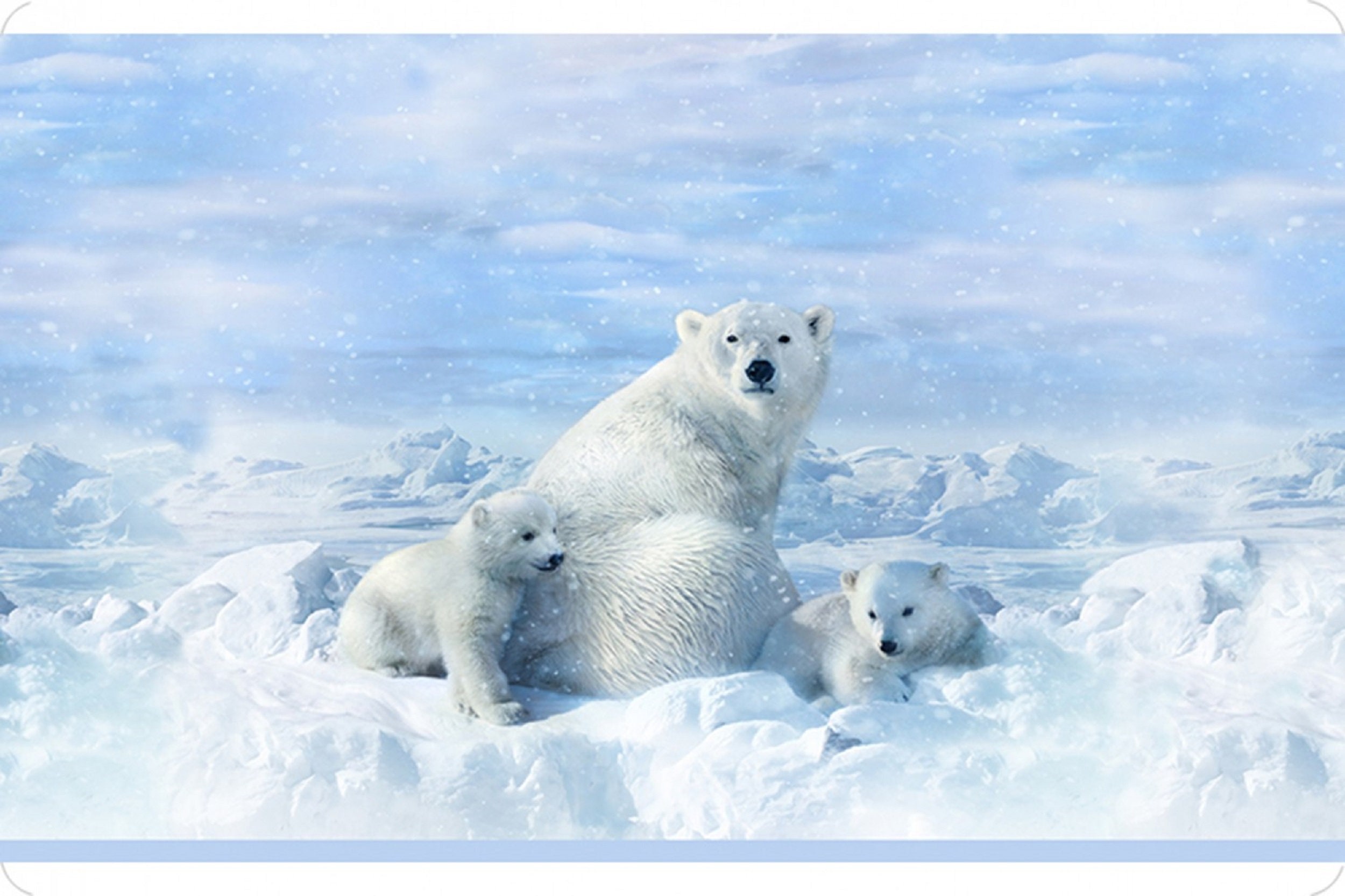 Shannon Snow Hoffman Oso Polar Digital Cuddle Panel - Etsy España Shannon Snow Hoffman Oso Polar Digital Cuddle Panel - Etsy España