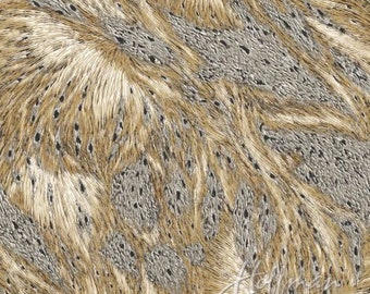 Feather Fabric - Hoffman Fabrics P 7593 Goldenrod Silver Nocturne Hackle Feathers Fabric for Sewing - Choose Your Cut