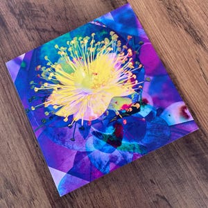 Mandarin Scent, quadratische Einzelkarte, quadratisch, lila und blau Grußkarte (innen leer) mit einer gelben Blüte in Blüte mit Johanniskraut