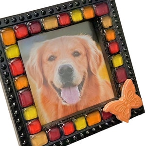 Puede incluir: Un marco de fotos negro con un mosaico de azulejos de vidrio rojo, naranja y amarillo. Una foto de un golden retriever está en el marco. Una pequeña mariposa naranja está unida al marco.