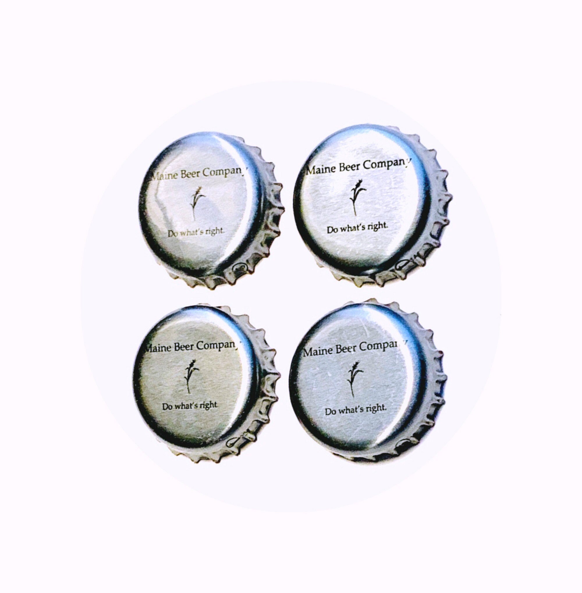 Craft Beer Magnet Set Maine Beer Company Magnets Maine Beer Bottle Top Magnets Set Of Four File Cabinet Magnet Refrigerator Magnets