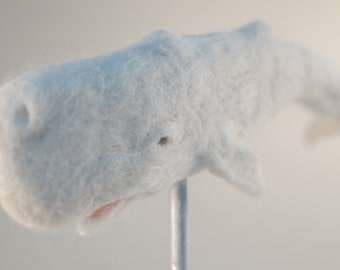 Needle Felted Animal, White Sperm Whale, "Moby Dick", Portfolio Piece