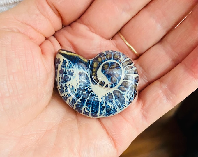 Statement Brown Sand Focal Shell Beads/center Piece Conch Porcelain ...