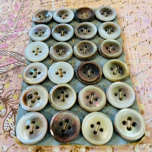 May include: A collection of vintage buttons in various shades of white, brown, and iridescent colors. The buttons are arranged on a blue-gray card, showcasing their different sizes and textures. Each button has four holes for sewing.