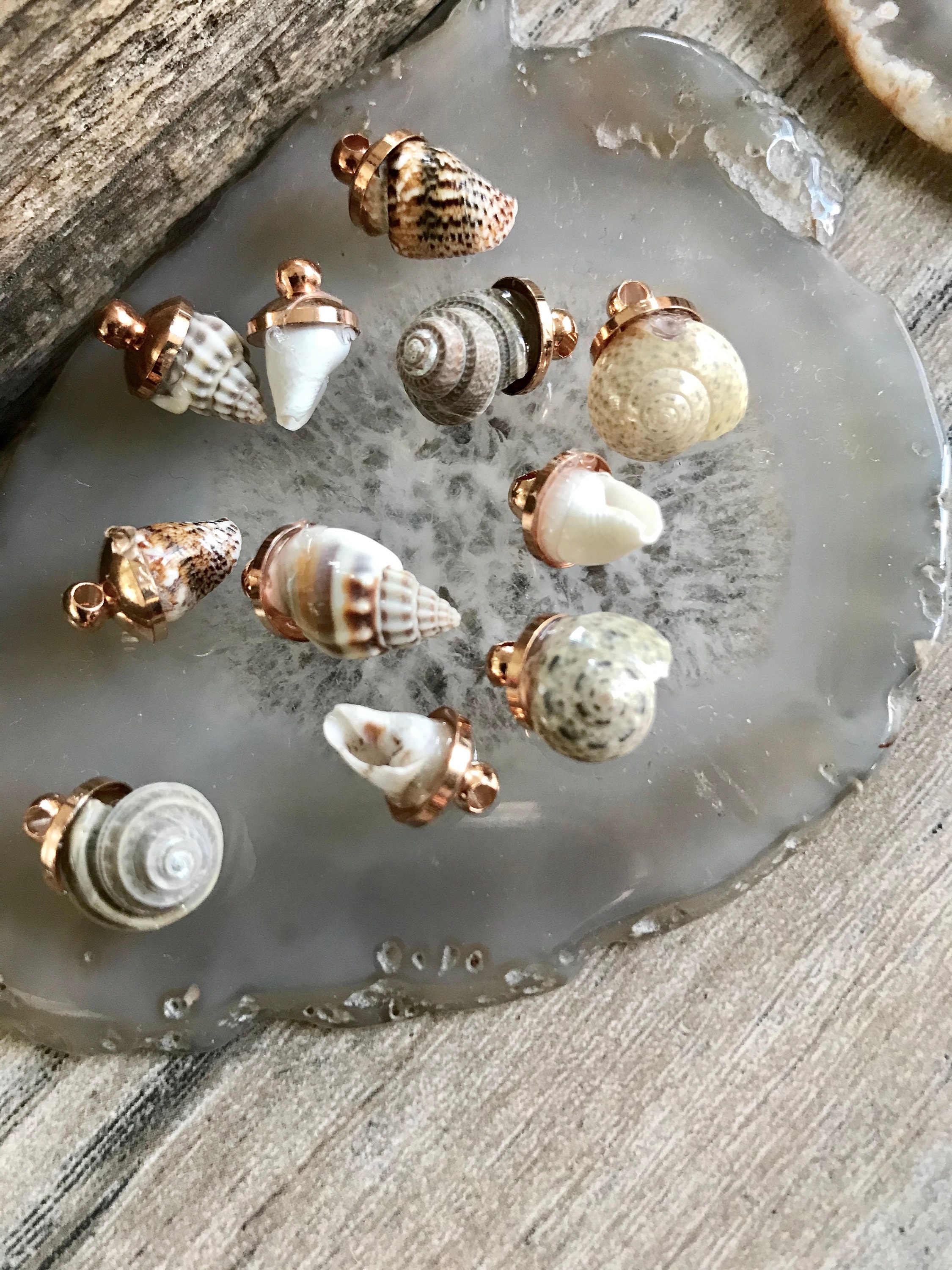 Seashore Charms, Natural Shell Charms Pendants, Seashell Charms,diy Sea ...