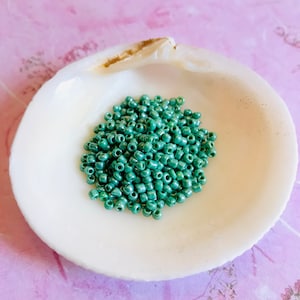 May include: A pile of small, round, green glass beads in a white seashell. The beads have a slightly iridescent finish.