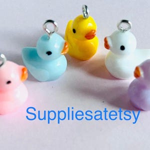 May include: Five small rubber duck charms in different colours: yellow, blue, white, pink, and purple. Each duck has a silver loop for attaching to a necklace, bracelet, or other project.