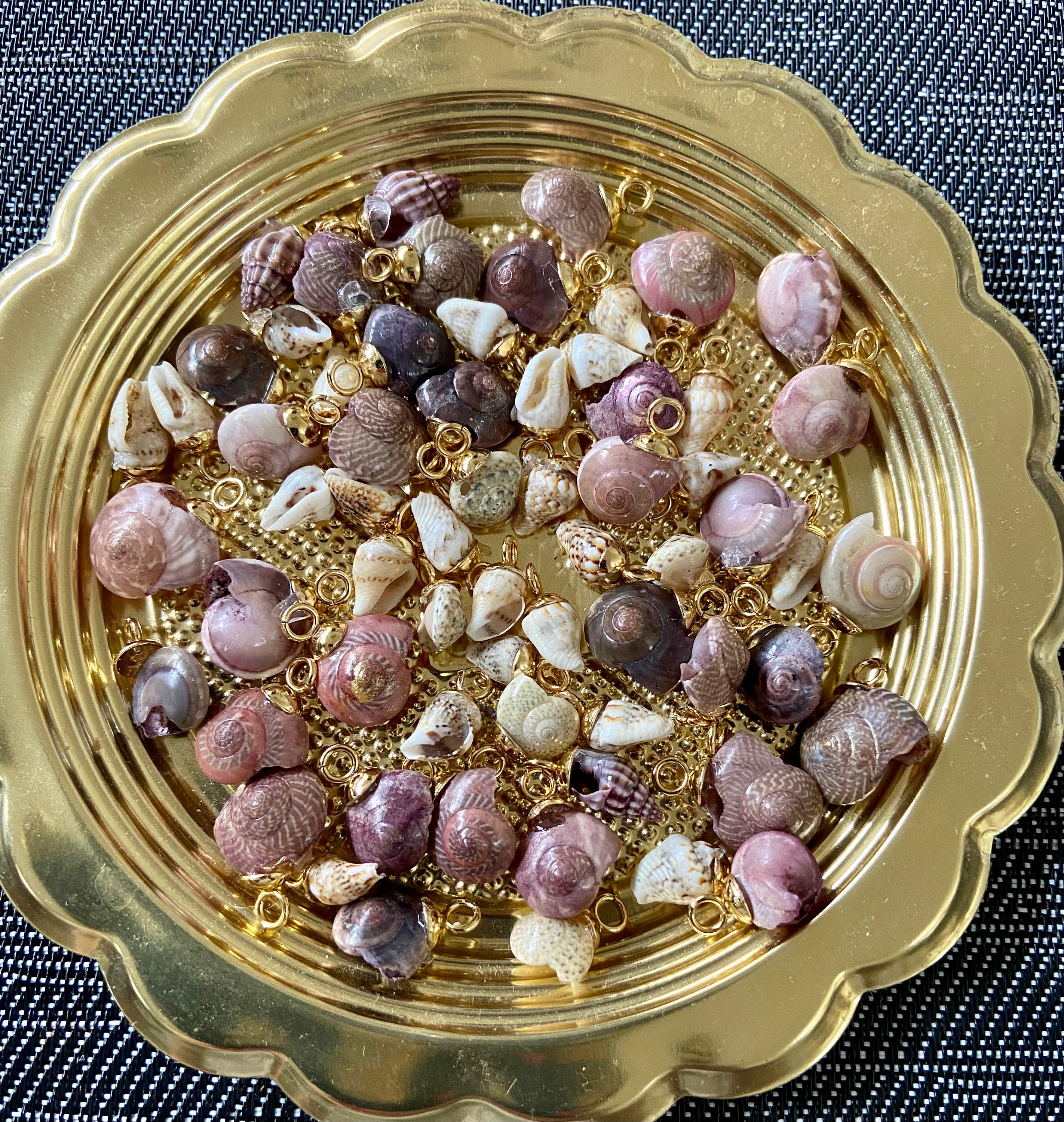 Seashore charms, natural shell charms pendants, Seashell Charms,Diy Sea Shell Necklace, Shell Pendants,Hermit Crab Shell Gold Plated Charms
