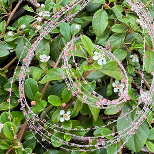 May include: A decorative garland with pink beads and clear strands, spiraling over green foliage with small white flowers. The beads are evenly spaced along the strands, creating a delicate, shimmering effect. The garland adds a touch of elegance to the natural setting.