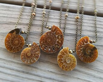ammonite fossil necklace / choose your ammonite necklace / ammonite jewelry / ocean jewelry / science gift / ammonite pendant / HEY08Q