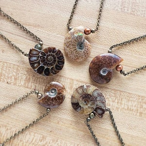 ammonite fossil necklace /// August 2025: new options / ready to ship / choose your ammonite pendant