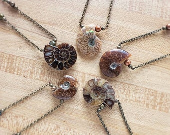 ammonite fossil necklace /// APR 2023: new small batch / choose your ammonite pendant / made to order