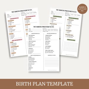 Editable Birth Plan Template Printable Birth Preferences Sheet Labor & Delivery Plan Hospital Friendly Birth Plan Template Pregnancy Planner