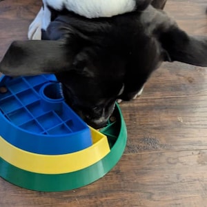 May include: A black and white dog eating from a colorful puzzle feeder. The feeder has blue, yellow, and green sections. The dog's head is over the feeder, with its ears flopped down. The feeder is on a wooden floor.
