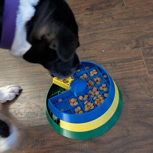 May include: A dog interacting with a colorful puzzle feeder. The feeder is a combination of blue, yellow, and green, filled with dog food. The dog, with black and white fur and a purple collar, is focused on the feeder.