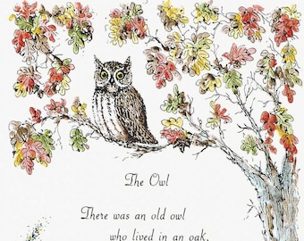 The Owl