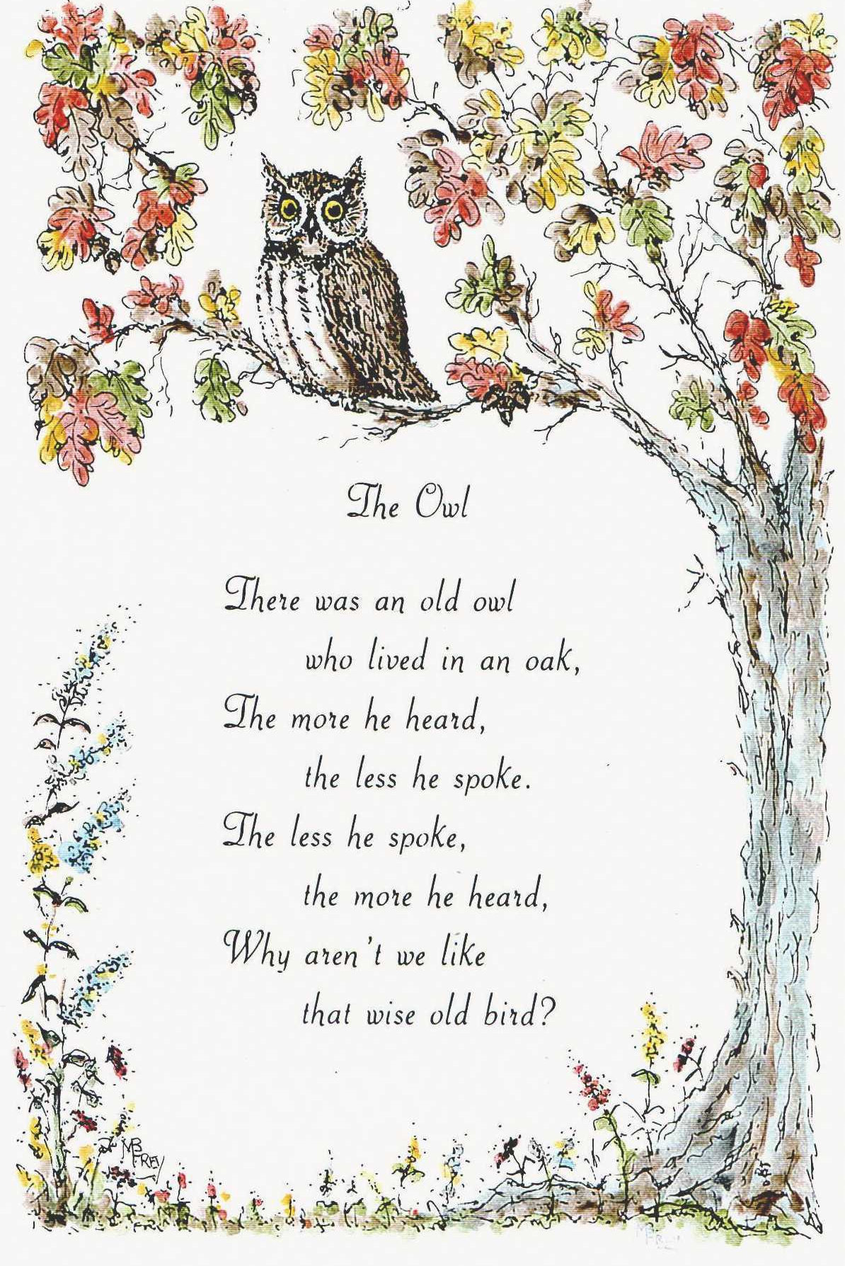 The Owl